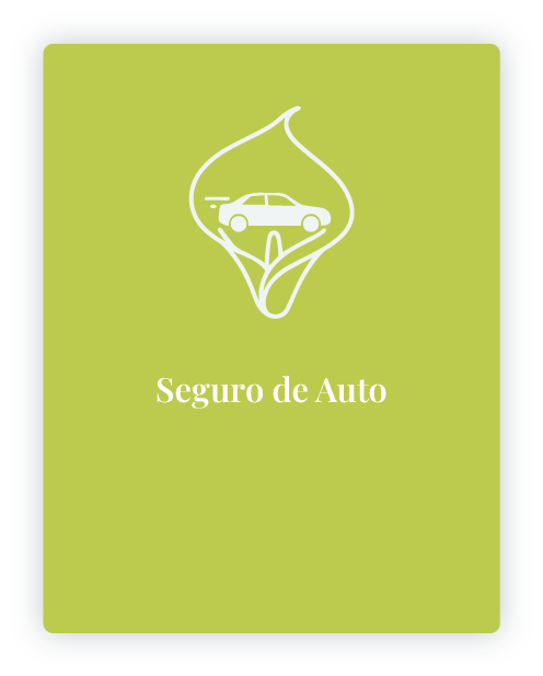 Seguro de auto - mlcseguros