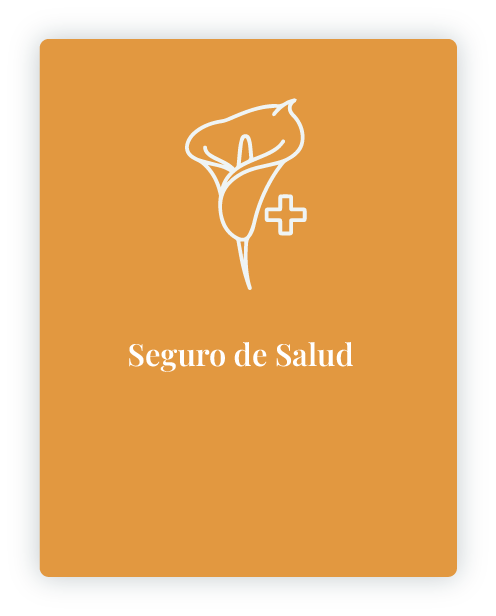 Botón Salud - mlcseguros