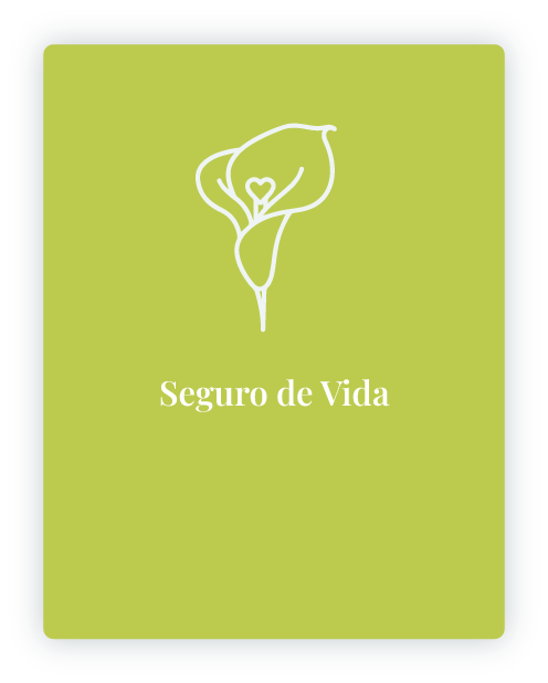 Vida - mlcseguros