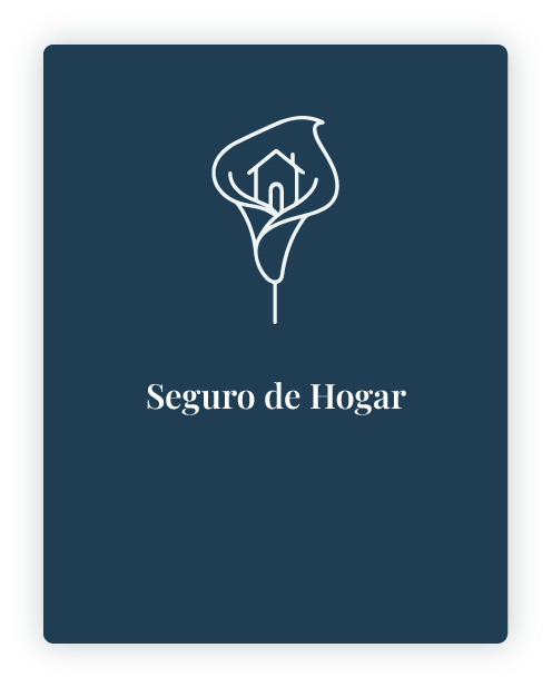 Botón hogar - mlcseguros