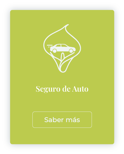 auto2 mlcseguros.com