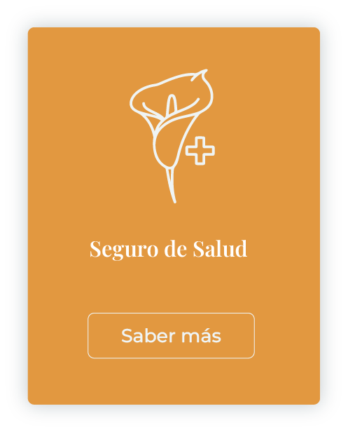 salud b - mlcseguros.com