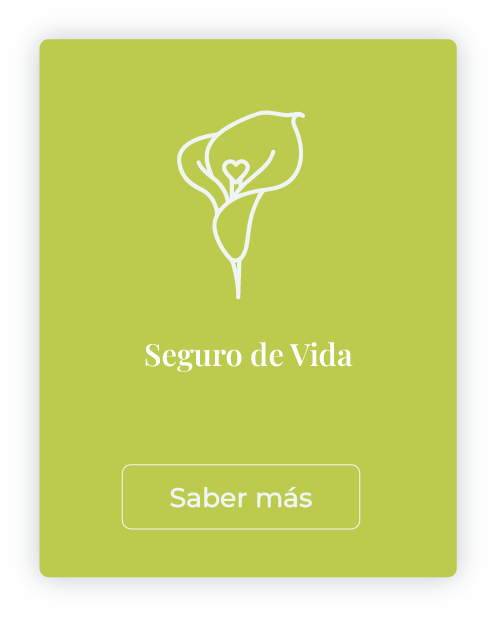 VIDA B mlcseguros.com