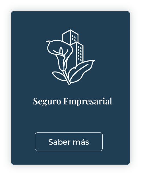empresarial b mlcseguros.com