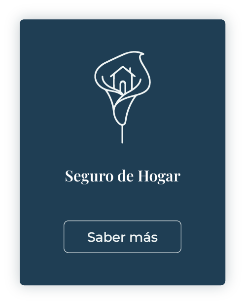 hogar b mlcseguros.com