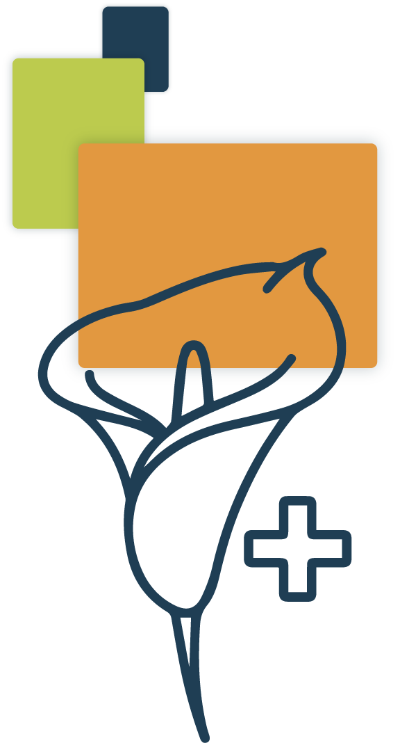 salud mlcseguros.com